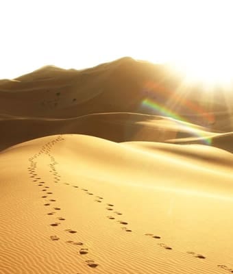 Daniel Meurois y su obra literaria