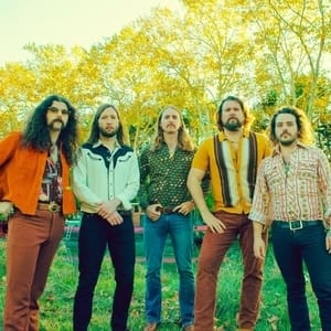 The Sheepdogs