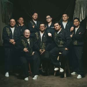 Los Mirlos