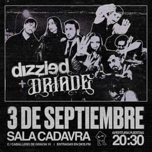 Driade + Dizzied