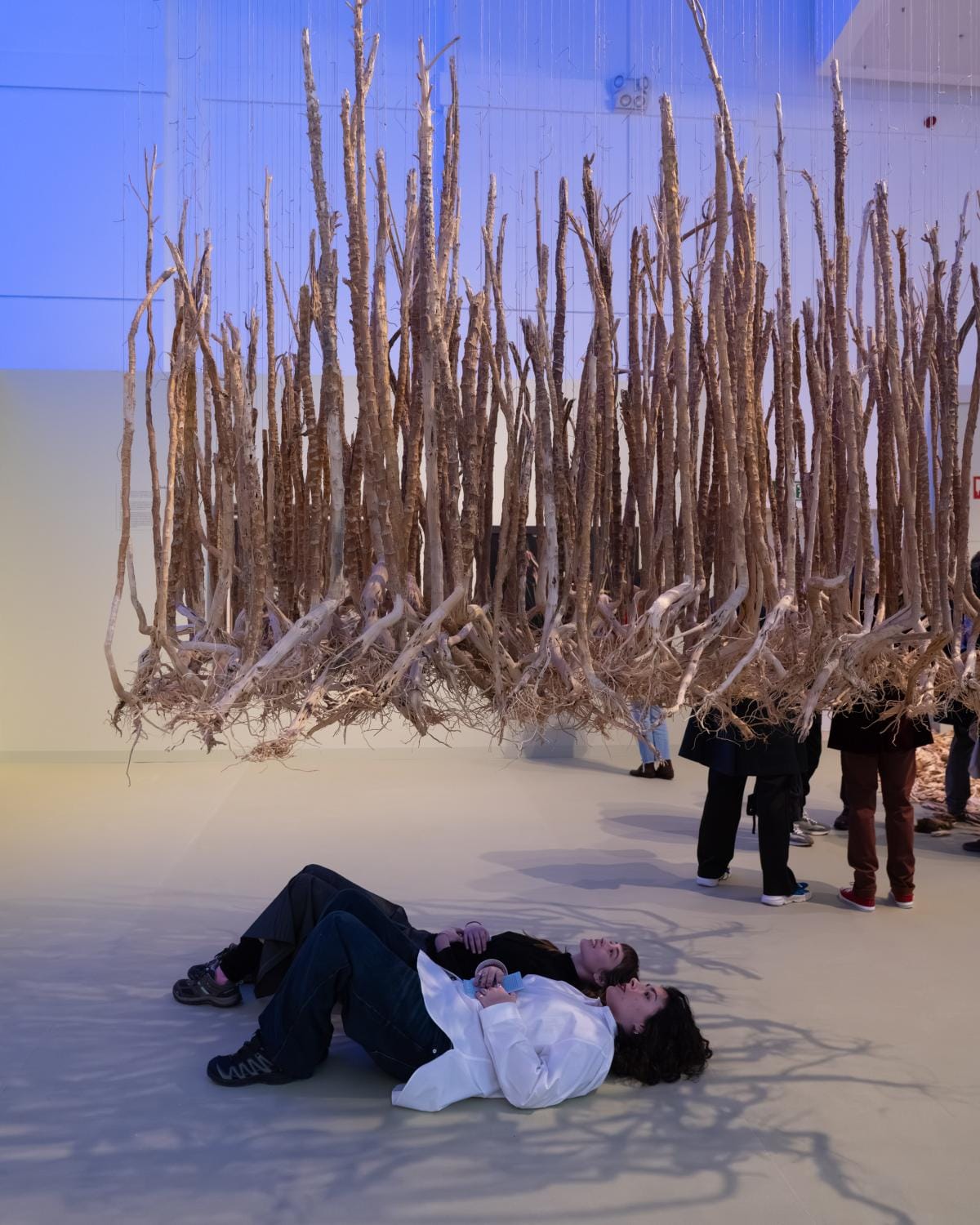 Francisco Asorey, una recuperación necesaria