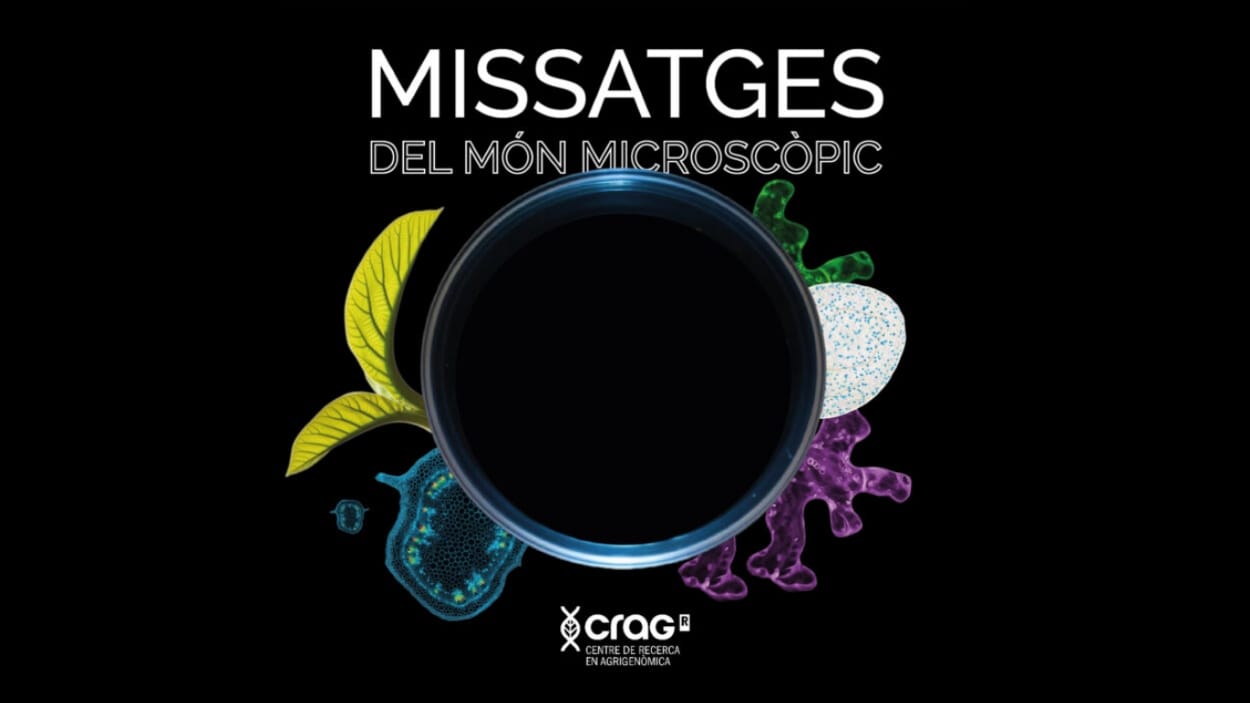Missatges del món microscòpic
