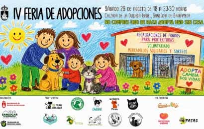 IV Feria de Adopciones