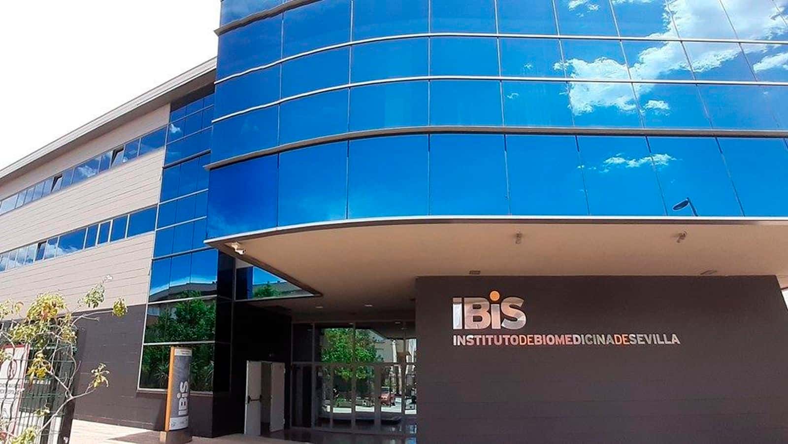 III Jornada de Puertas Abiertas al Sarcoma