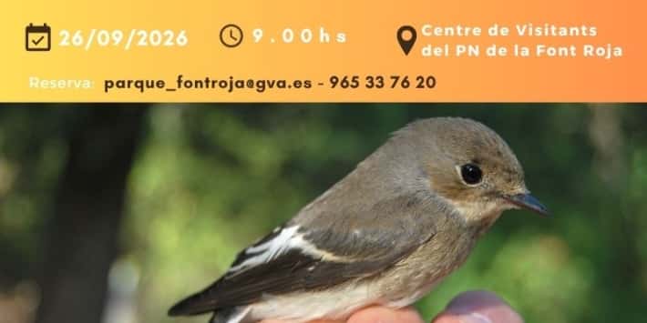 La migración de las aves. Anilla en familia