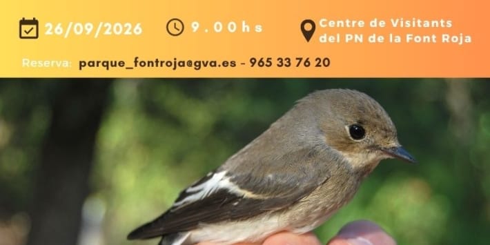 La migración de las aves. Anilla en familia