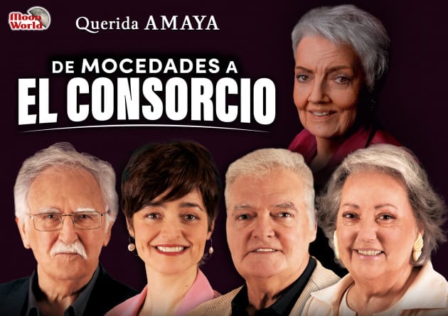 Querida Amaya..., De Mocedades a El Consorcio