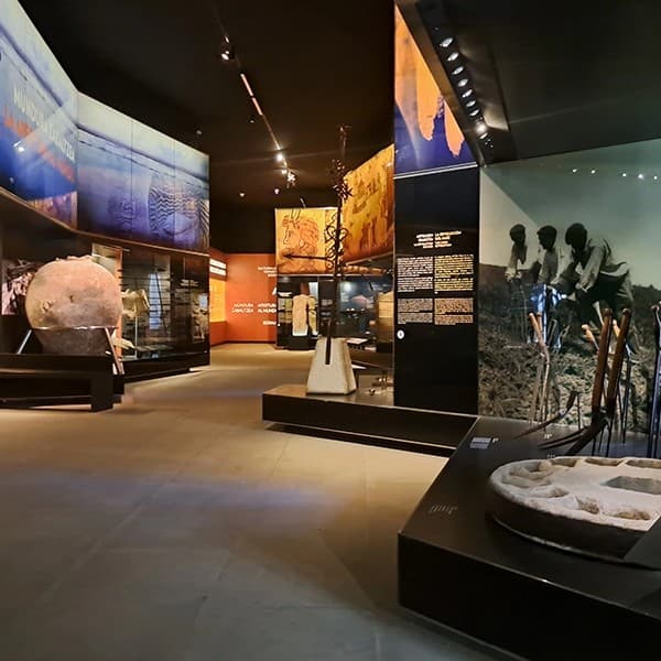 Visita guiada: 'Euskal Herriaren historia, historiaurretik XVIII. mendera'