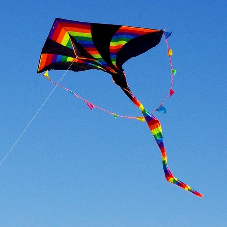 Cousiñas xeitosas: Día Internacional da Cometa