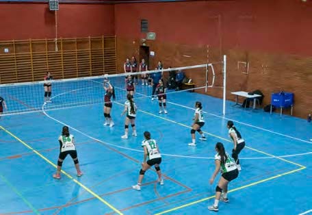 Torneo de Voleibol Fiestas 2026