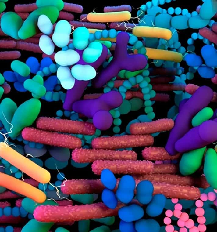 Un planeta, una salud, un microbioma: un enfoque holístico frente a la resistencia a los antimicrobianos