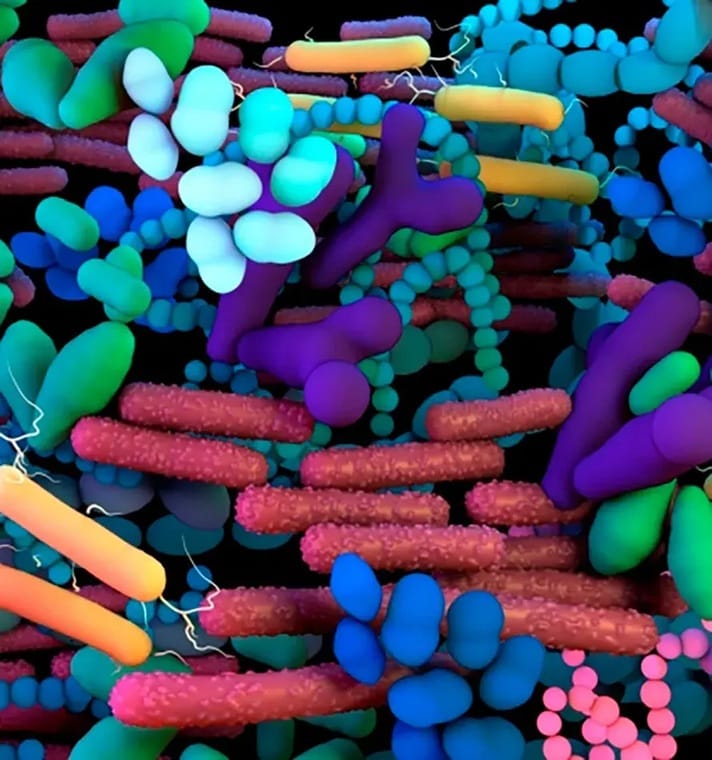 Un planeta, una salud, un microbioma: un enfoque holístico frente a la resistencia a los antimicrobianos