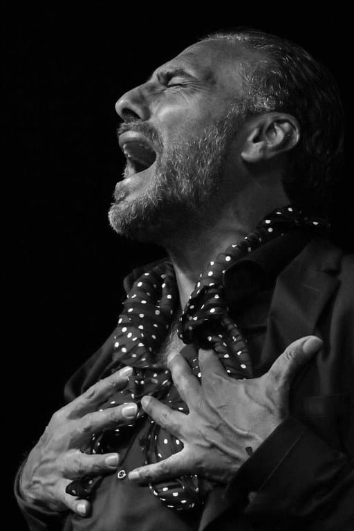 Pedro el Granaíno con la colaboración de Daniel Oyarzábal - Pan de oro