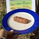 Viaje al país de la escatología