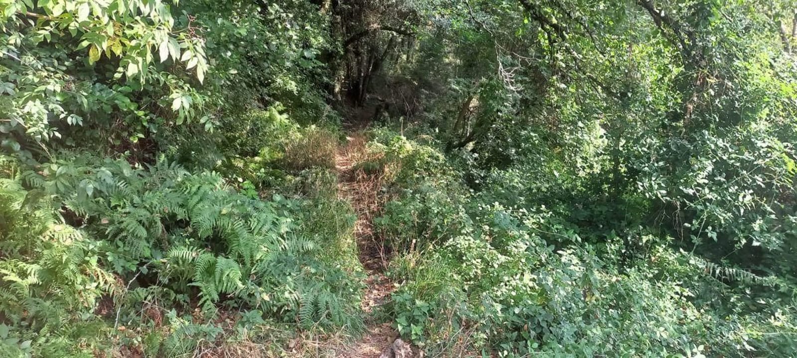 Rutas culturales con el Campus Universidad de Vigo