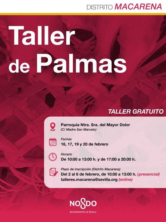Taller de Palmas