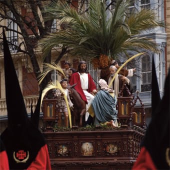 Procesión del Borriquito