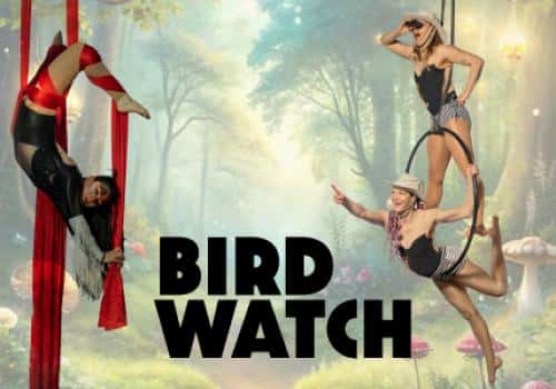 Birdwatch - an Aerial Circus Show