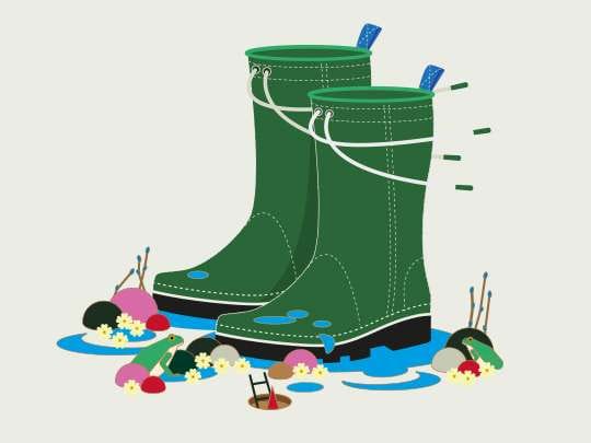 Invierno en el Botánico