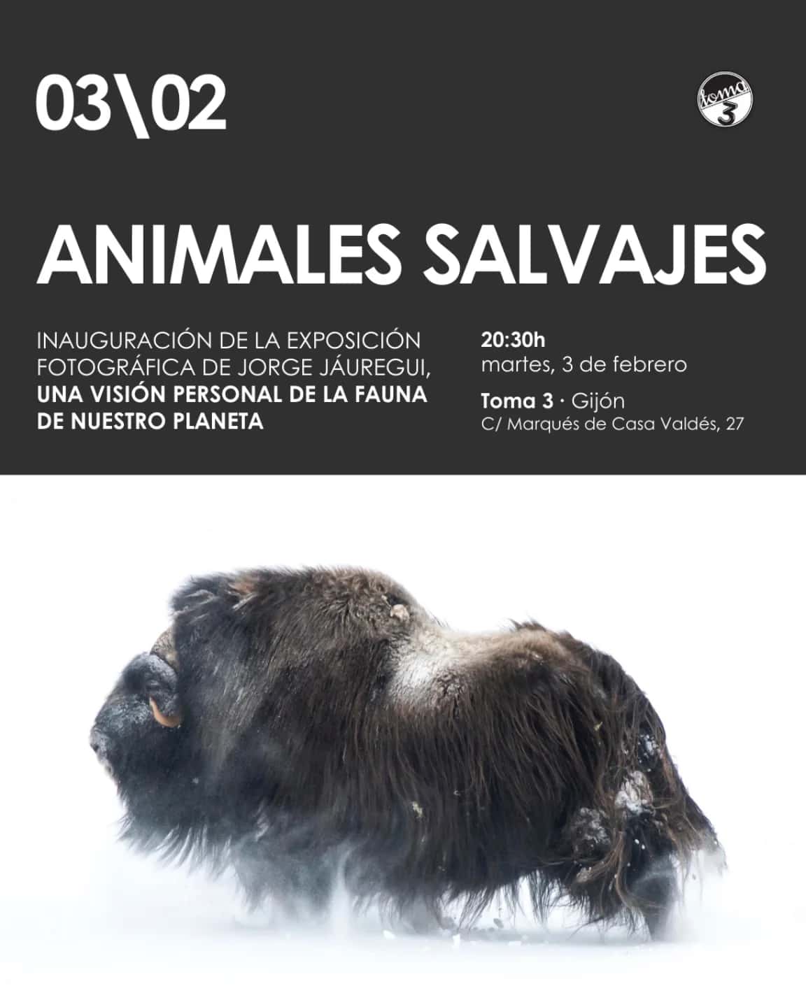 Inauguración Exposición Fotográfica Animales Salvajes