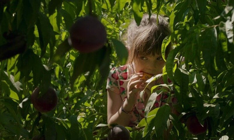 Triloxía da vida: Alcarrás