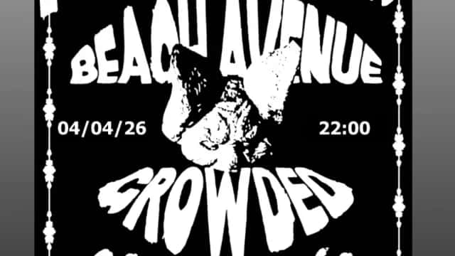 Concierto de Beach Avenue y Crowded