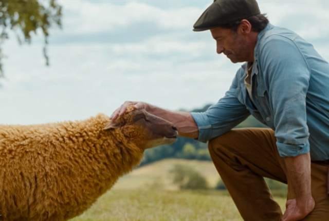 The Sheep Detectives
