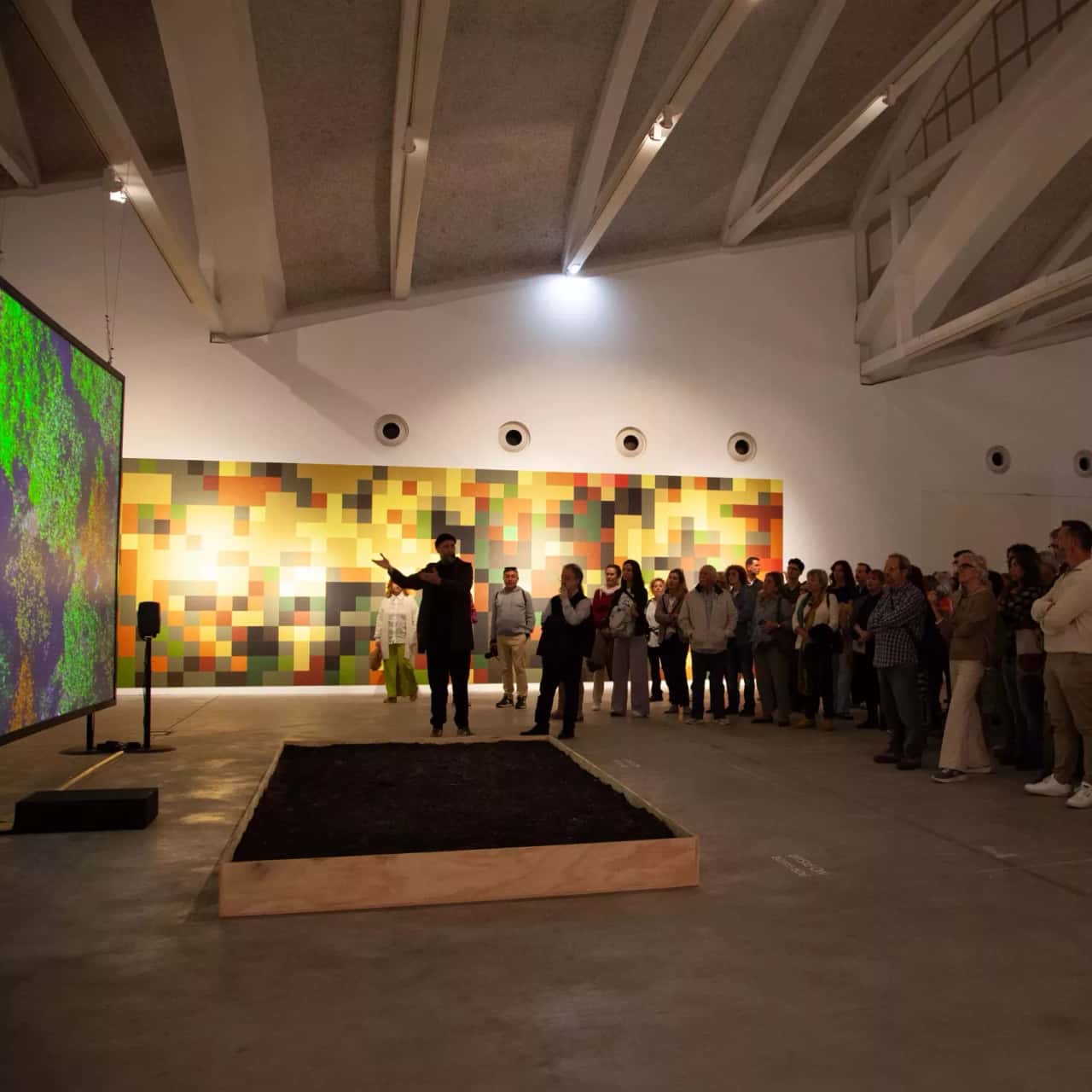 Visita la exposición «El Bosque»