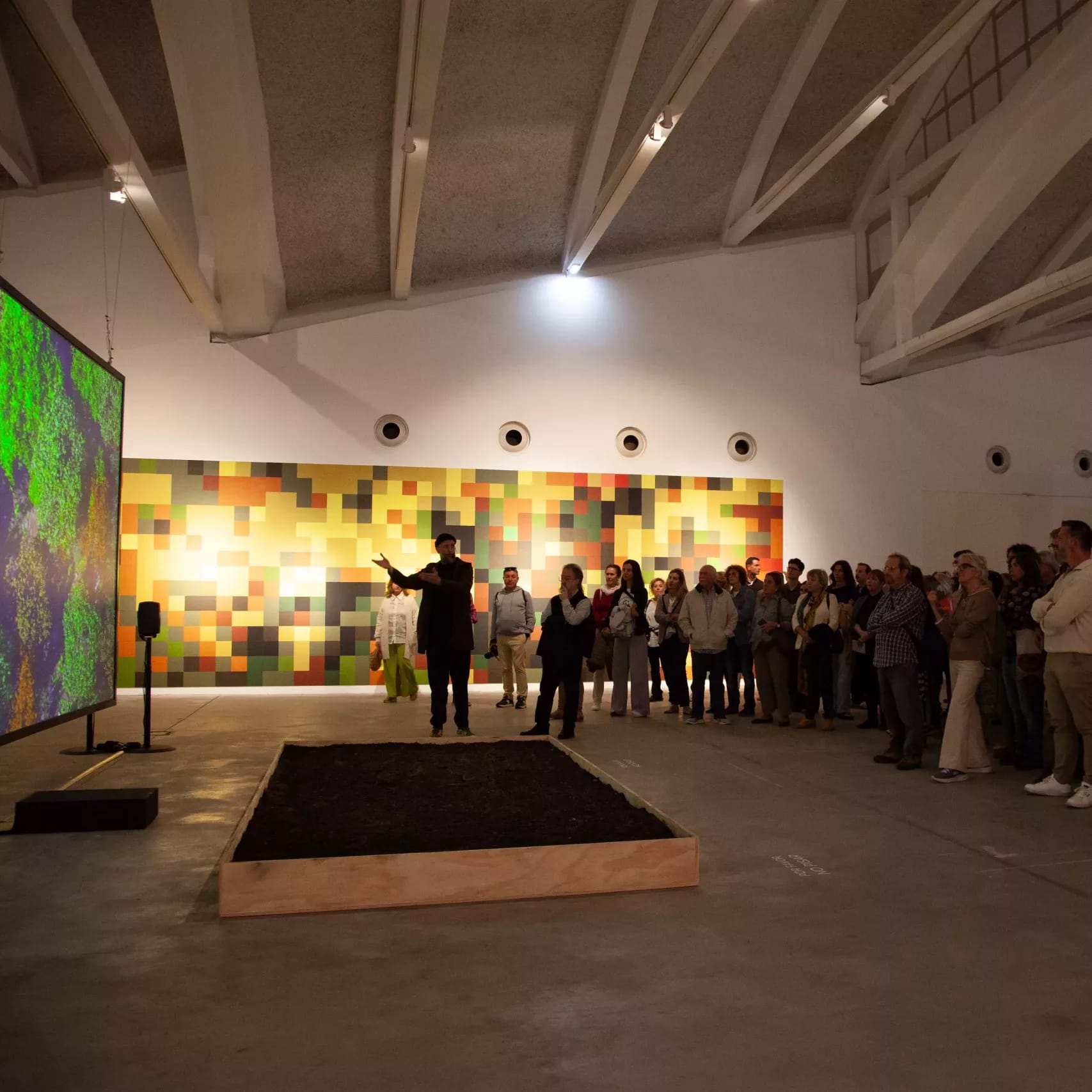 Visita la exposición «El Bosque»