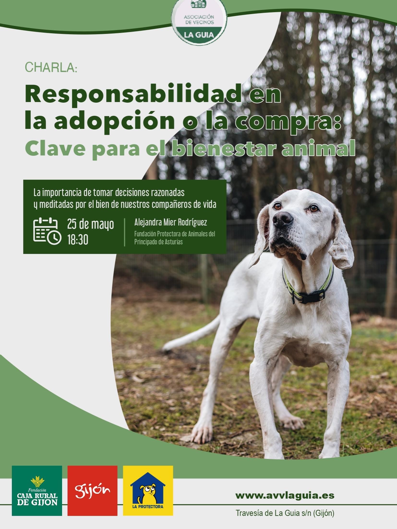 Responsabilidad en la adopci贸n o la compra: Clave para el bienestar animal