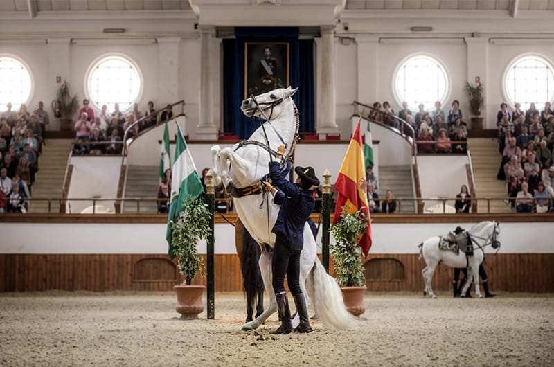 Gala Solidaria de la Real Escuela