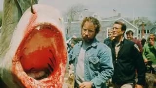 Semana de terror en el cine de verano del Parque Fofó