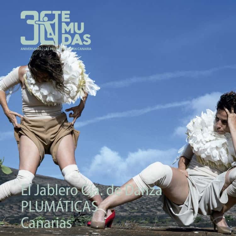 Plumáticas - Festival Internacional de Teatro, Música y Danza TEMUDAS