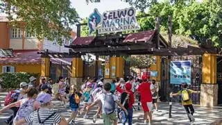 Campamentos escolares de Semana Santa en Selwo