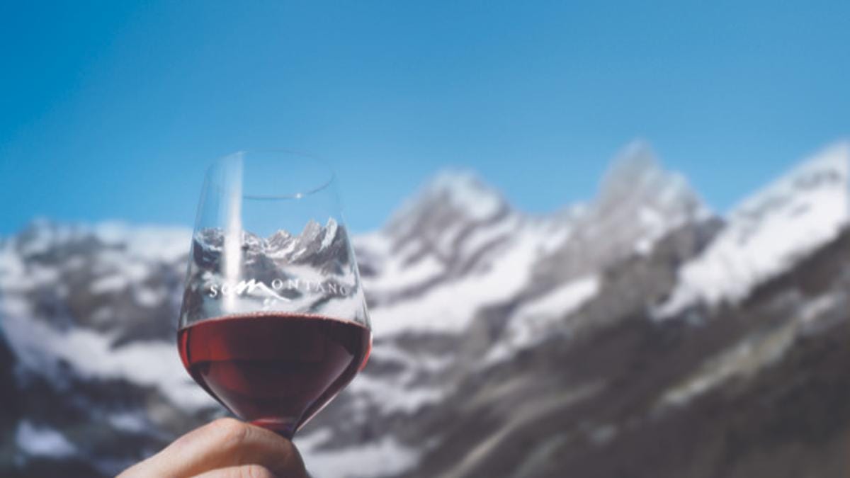 Cine y Vino: Cata de vinos de la DO Somontano