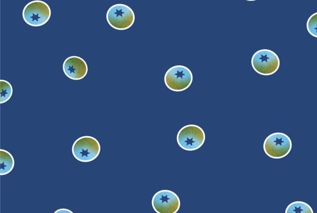 Launch Party: Fruitful - RIPE Blueberries