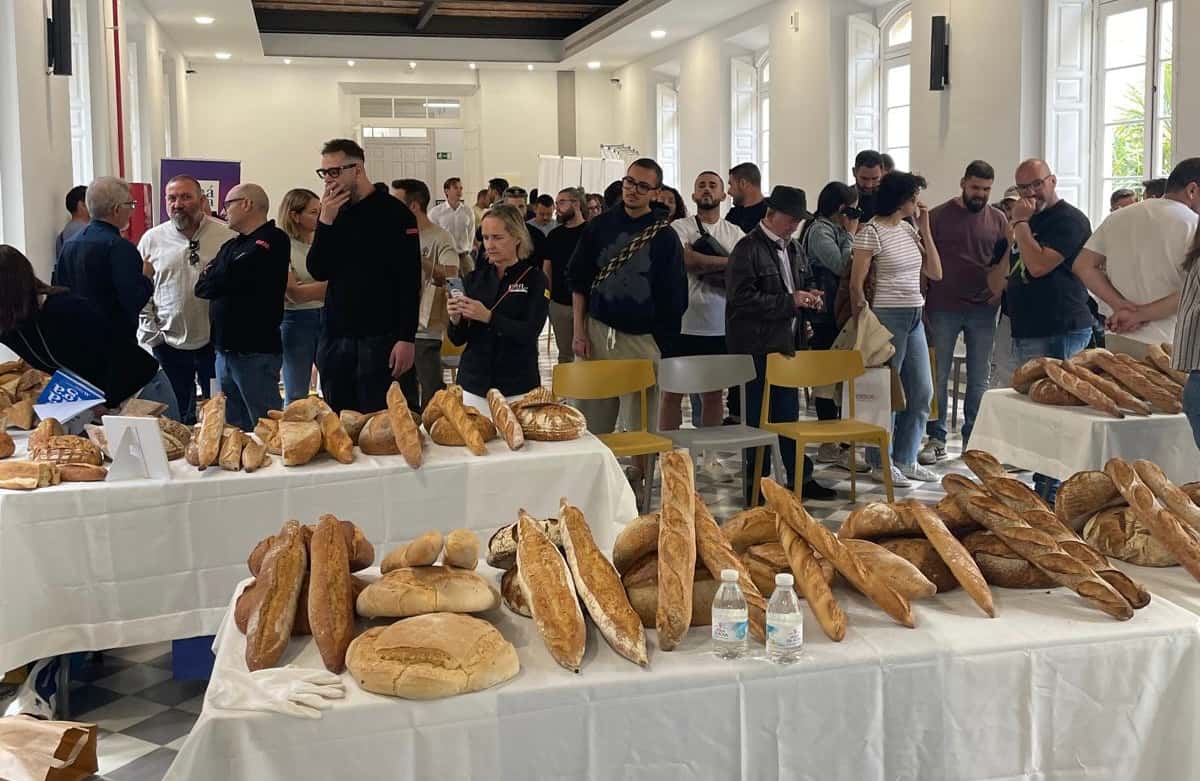 50 Panaderos y Panaderas TOP de España (II edición)