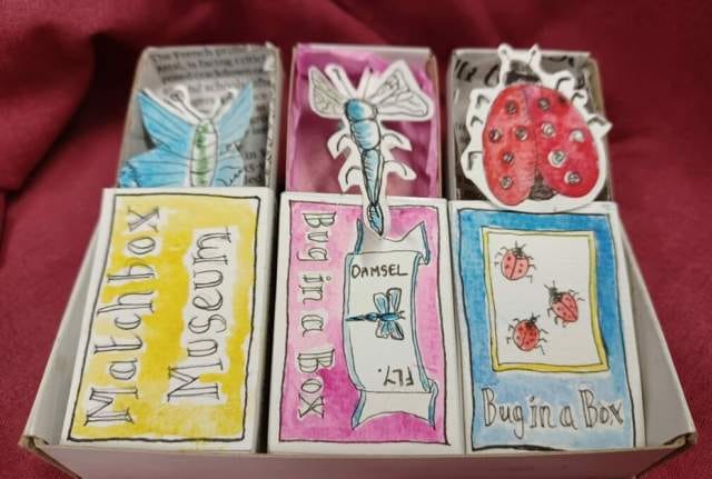 Bugs in Boxes