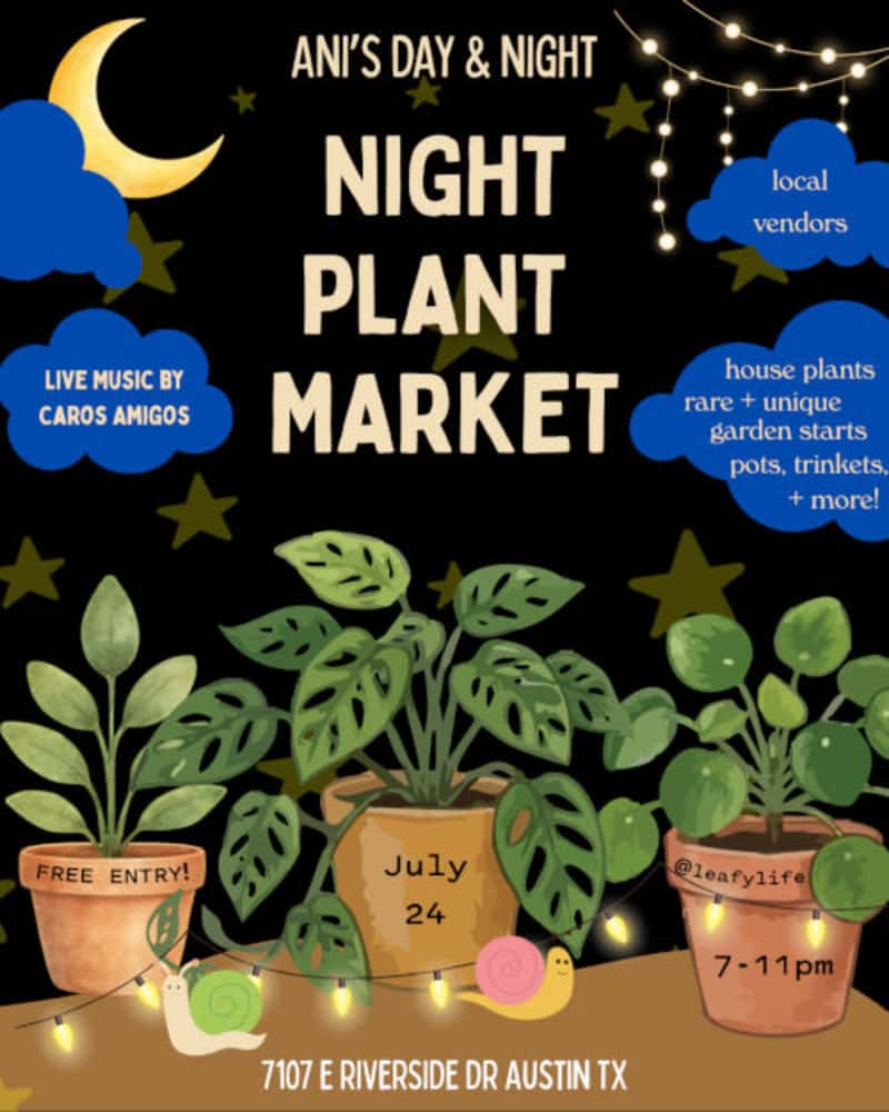 Night Plant Market