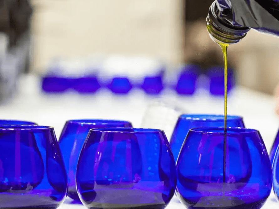 Cata de aceite