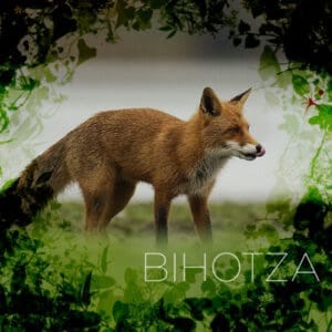 Bihotza. Película documental