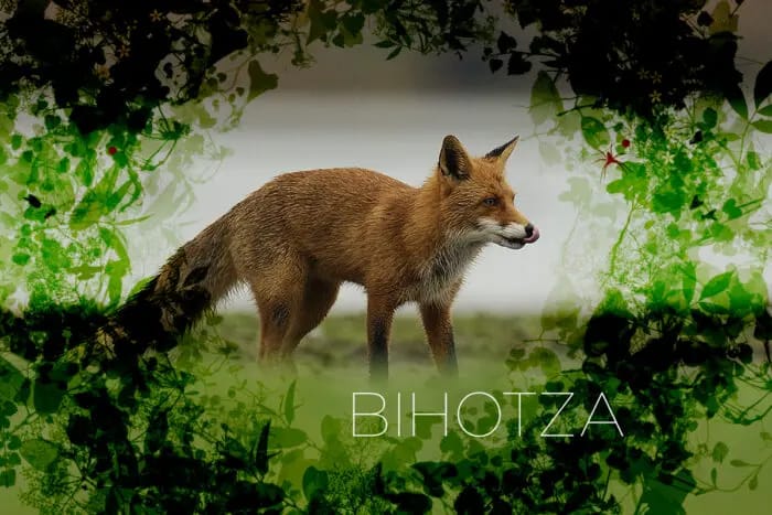 Bihotza, la vida en Álava como nunca la habías visto (Documental)