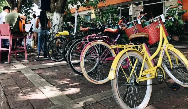 Bike tour