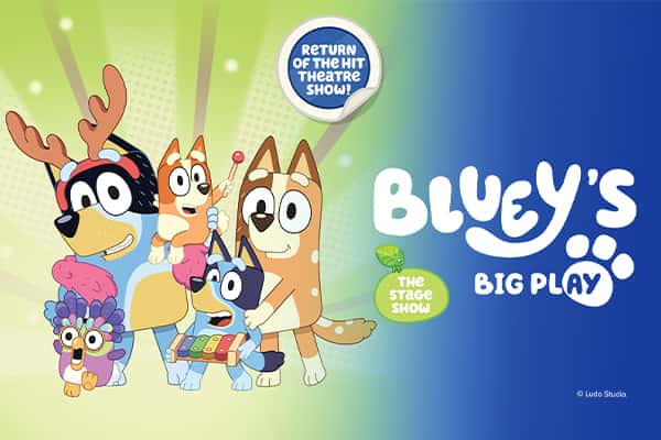 Bluey's Big Play
