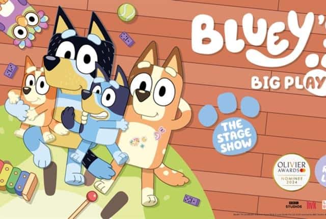 Bluey's Big Play