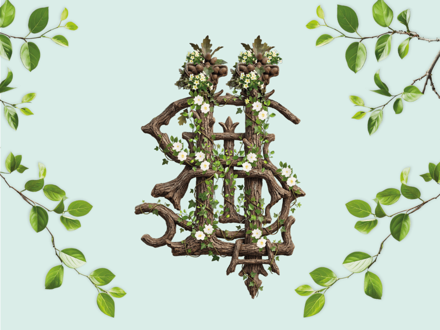 Visita libre con aforo controlado - La Isla: la pieza que faltaba