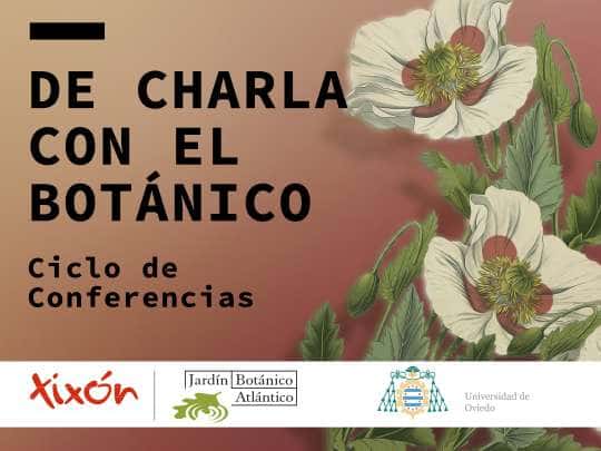 De charla con el Botánico. ¿Cómo leer los árboles? De la ciencia a la poética
