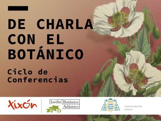 De charla con el Botánico. ¿Cómo leer los árboles? De la ciencia a la poética