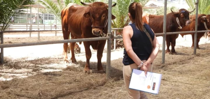 Fiestas de San Benito Abad 2026 - Feria Agroganadera de Tenerife (FAGATE)