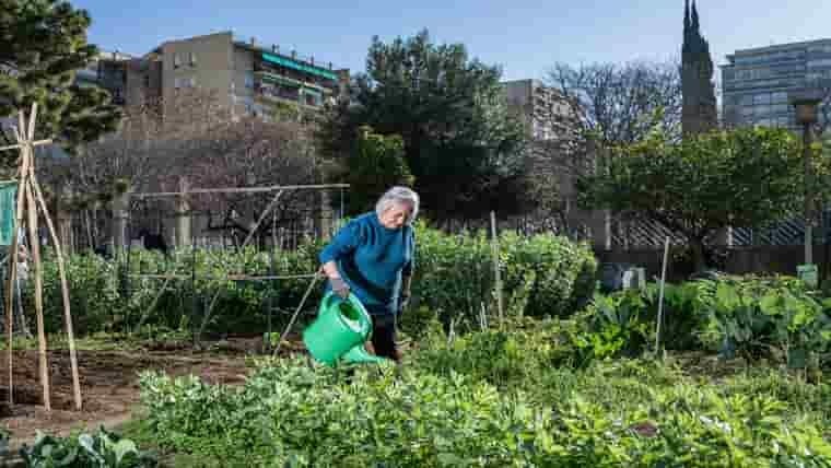 Mans a l'hort: Cada gota compta